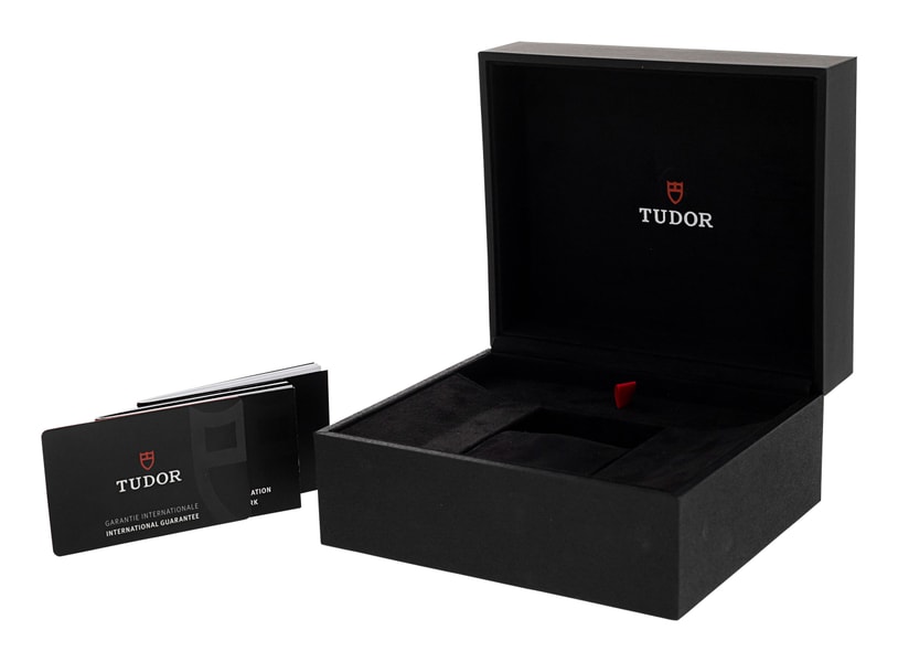 Tudor Black Bay 58 M79010SG-0001